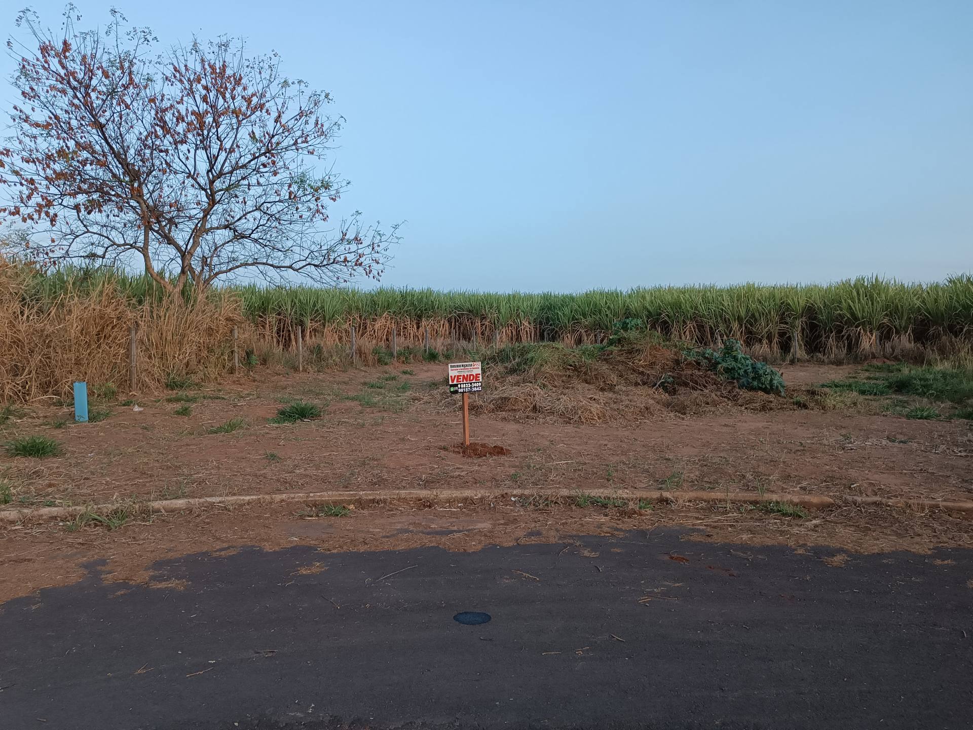 Terreno