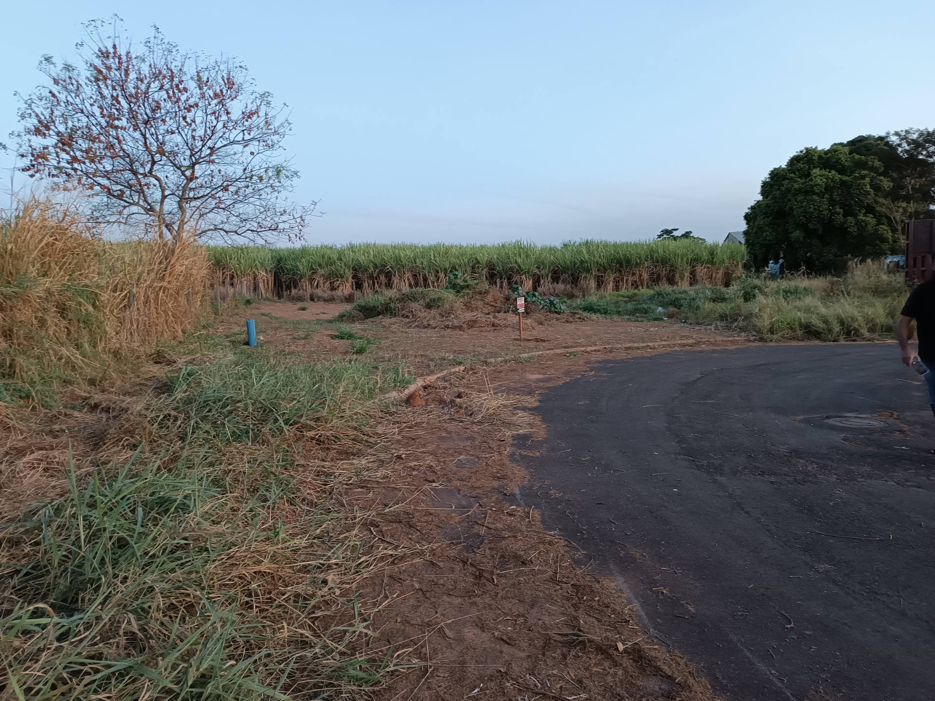 Terreno